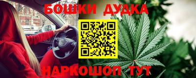 spice Камышлов