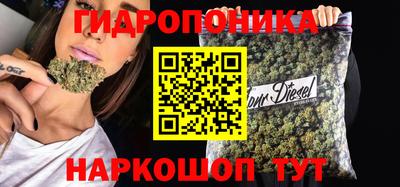 spice Камышлов