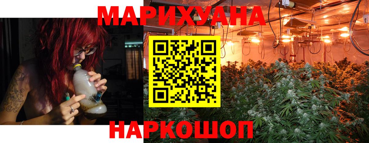 Каннабис OG Kush Красногорск